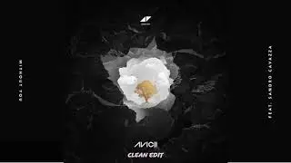 Avicii - Without You (feat. Sandro Cavazza) [Clean Edit]