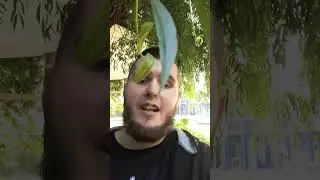 Когда объявится Oxxxymiron? 