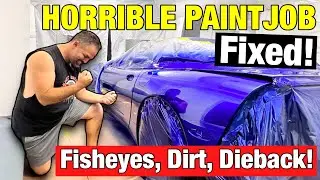 I FIXED One of My Worst Paint Jobs in My Own Home Garage!