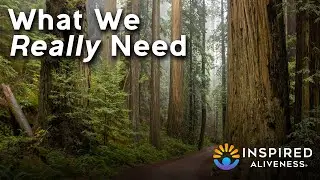 What We Really Need