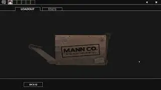 Tf2 New Scream Fortess cases (Unboxing)
