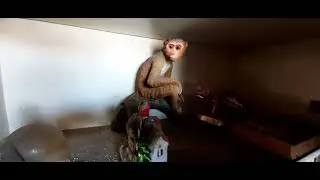 В бане , весна скорей бы пришла