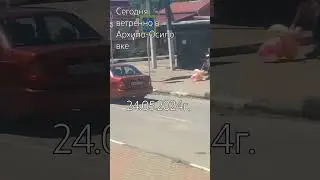 24 мая 2024 г.