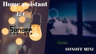 Home Assistant 124 Sonoff MINI Flashing
