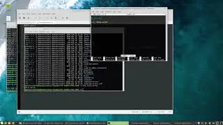 BASH Scripting Overview