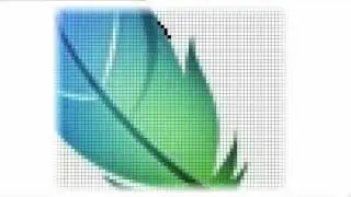 Grafica raster e grafica vettoriale: pixel vs vettori