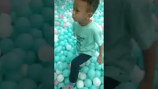 Tam-Tam's Great Time