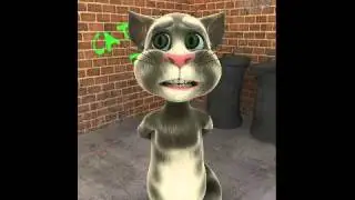 Talking Tom let's go