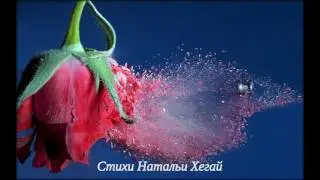 Пуля была хитрее  - стихи Натальи Хегай.