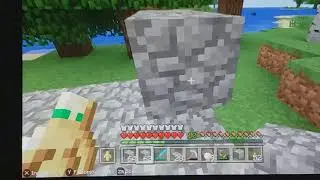 #2 Minecraft Nintendo switch edicton  le case 02/02