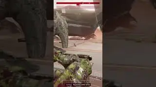 Bug Hunts are crazy in Helldivers 2. #shorts