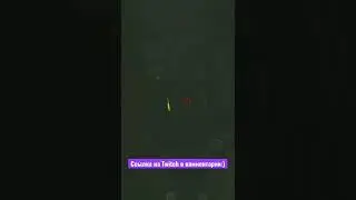 Гайд как жить :D Тарков