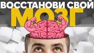 Что разрушает наш мозг? / Фролов Ю.А.