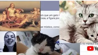 EXPLICANDO PORQUÊ GATOS FAZEM COCÔ E XIXI NOS CANTOS DA CASA/DEITAM EM CIMA DE PARTES DO SEU CORPO 😮