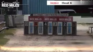 The Red Mills/T.S.C. Open Unraced Stake Round 1