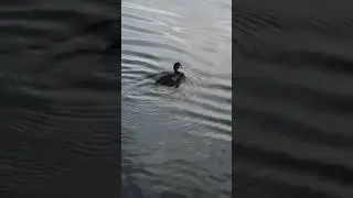с Днем семьи любви и верности!