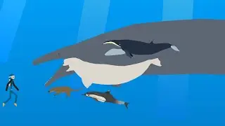 whales (living & extinct) | size comparison