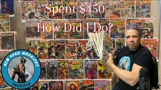Went To A Comic Book Show At A Hotel/ How Did I Do?