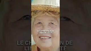 Les champignons vous soignent ?!
