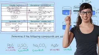 Solubility Rules!