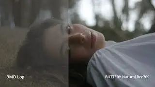 A better LUT for your Blackmagic camera! BUTTERY Natural Rec709 vs Extended video LUT