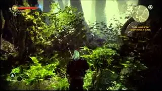 The witcher 3 the wild hunts gameplay the witcher 2 info hints speculations