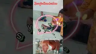 pengin kurban #qurban kurban sapi #kurban 2023 #abouttangerang #tangerang #terupdate