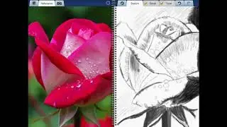 Lesson 6  Filling in space with a pencil