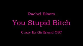 Rachel Bloom - You stupid bitch (Crazy Ex Girlfriend OST) - Karaoke version