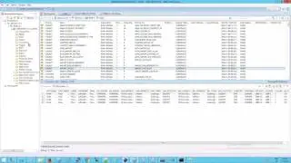 IIB: Database Node: ESQL: INSERT into a database