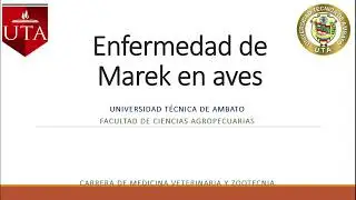 ENFERMEDAD DE MAREK en AVES