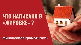 Что написано в «жировке»