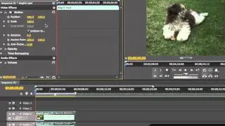 Transforming Video Clips - Adobe Premiere Pro CS5 Video Tutorials