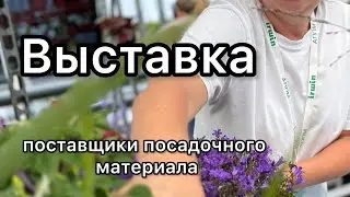 поставщики посадочного материала #залуковицейтюльпановкомне