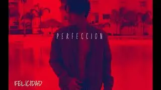 Armando Garcia - Perfeccion - (Audio Oficial)