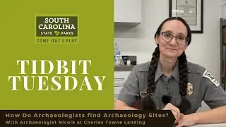 How Do Archaeologists find Archaeology Sites?