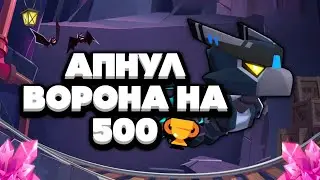 ⏫АПАЮ ВОРОНА НА 500 КУБЧЕЙ | Brawl Stars