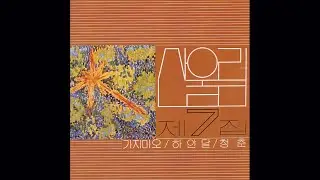 청춘 (산울림, 1981)