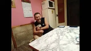 Родина   Made with Clipchamp