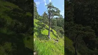 Hiking in Bavarian mountains
