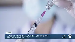 UA closing in on Valley Fever vaccines