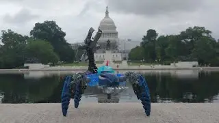 Bionicle Review #1: Morak