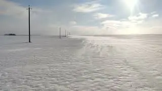 Зимняя пустыня 2 2021.01.28