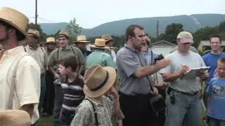 Amish Miniature Horse Sale #2