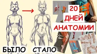 Learned to Draw in 20 Days // Studying Furry Anatomy for 3 Weeks (I'm Shocked by the Progress)