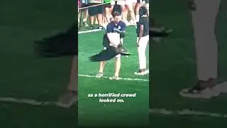 Wild animals aren’t props! A bald eagle should be soaring high, not stuck in stadium chaos 😤