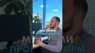 И не говорите, что вы так не делали 😏