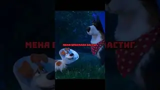 Ковбой спасет Макса? 
