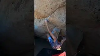 Long Arms. Strong Fingers #shorts #bouldering #climbing #fitness