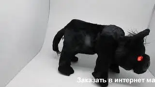 Символ года 2021!!! Бычок